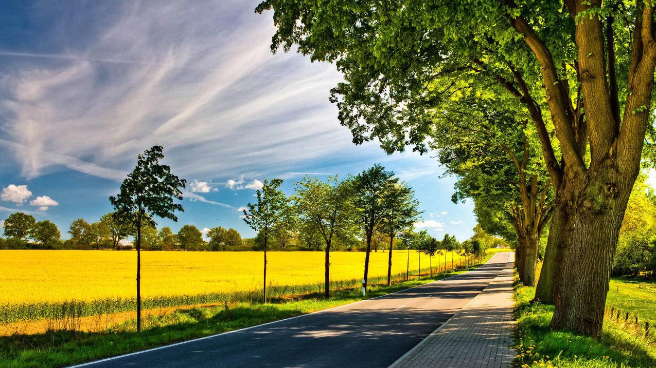 苹果ipad无法登录越南apple id（Apple越南） - 各区苹果ID - 55dz账号网