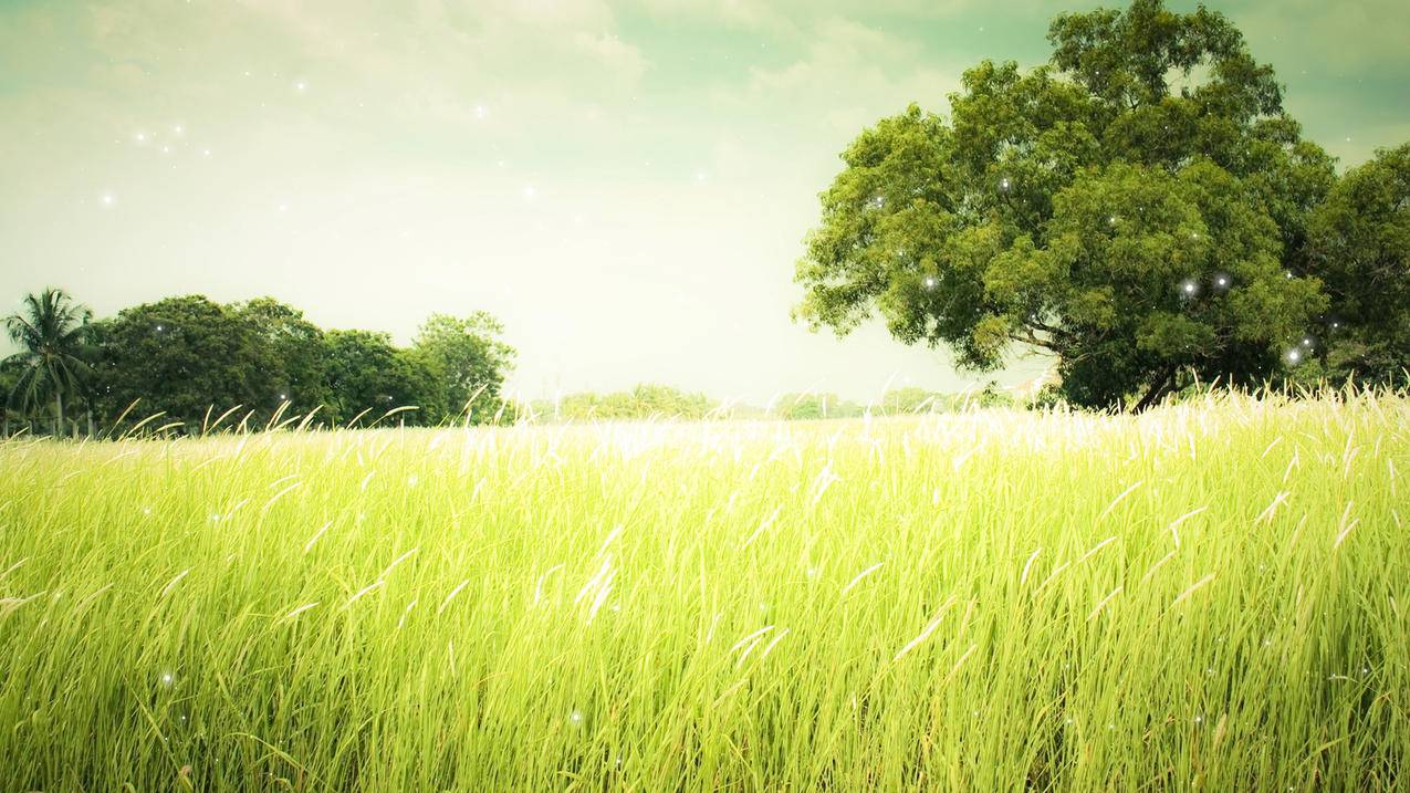 chatonline造句_chat造句 - Line相关 - 55dz账号网