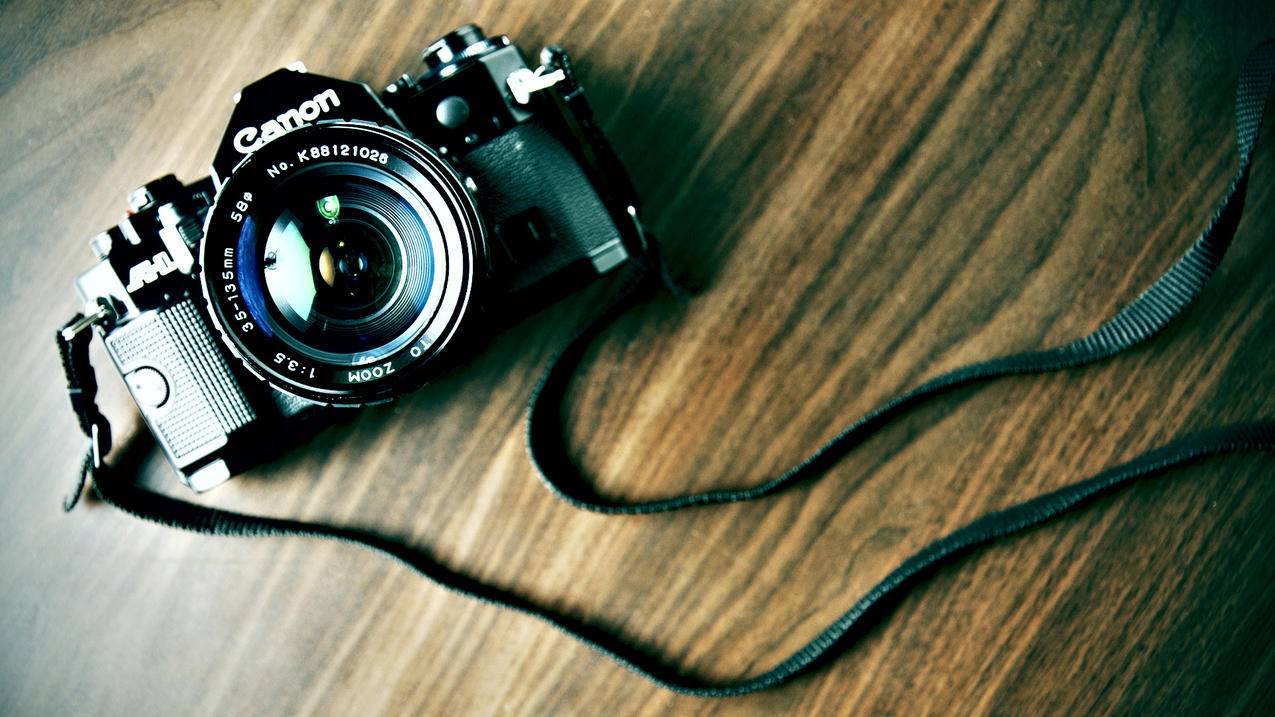 抖音刷礼涨粉 - 2020最新快手直播刷人气,全网最低自助下单平台雷神