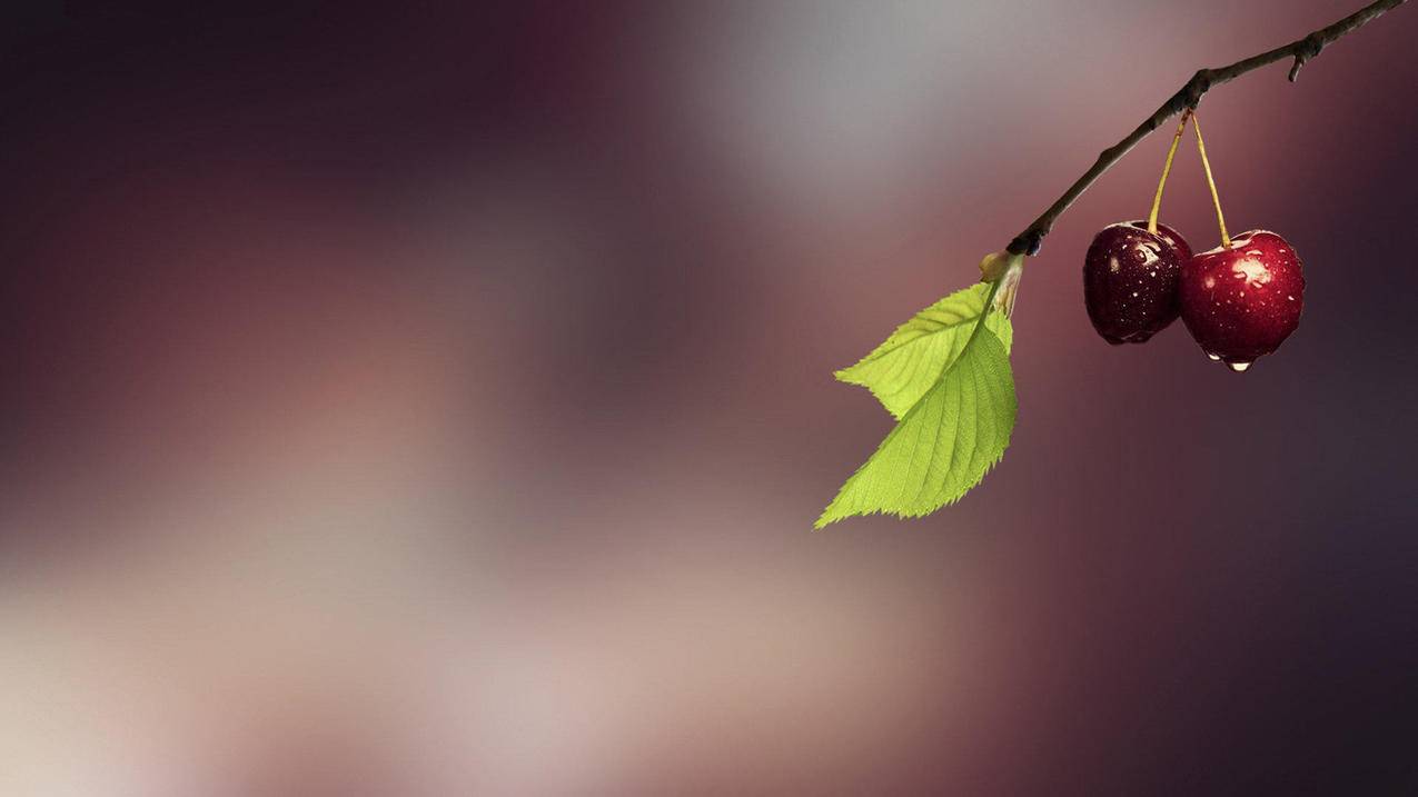 快手刷赞最低自助下单平台-卡盟开快手直播权限-全网最便宜刷业务平台快手