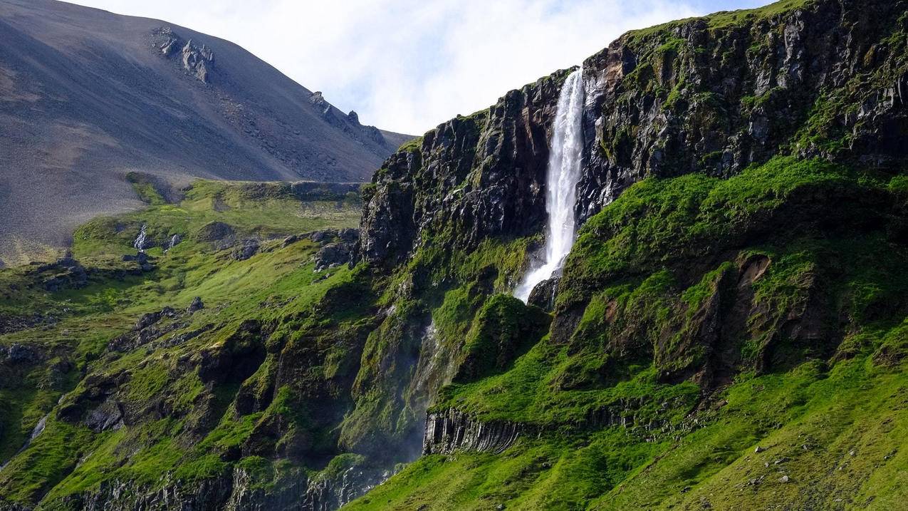 如何退小红书帐号申请 - 自助平台 - dy业务网