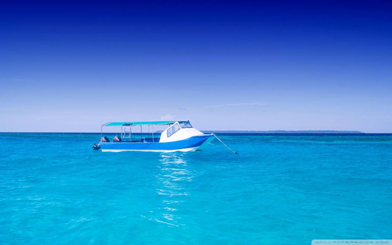 知乎用微信登录能不能查看微信好友 ， 怎么解除知乎与微信账号间的关联  - 55dz账号网