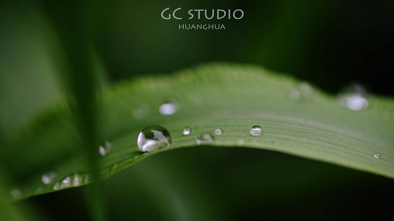 ks代刷小熊 - 快手免费刷双击-qq空间刷人气访问量pc