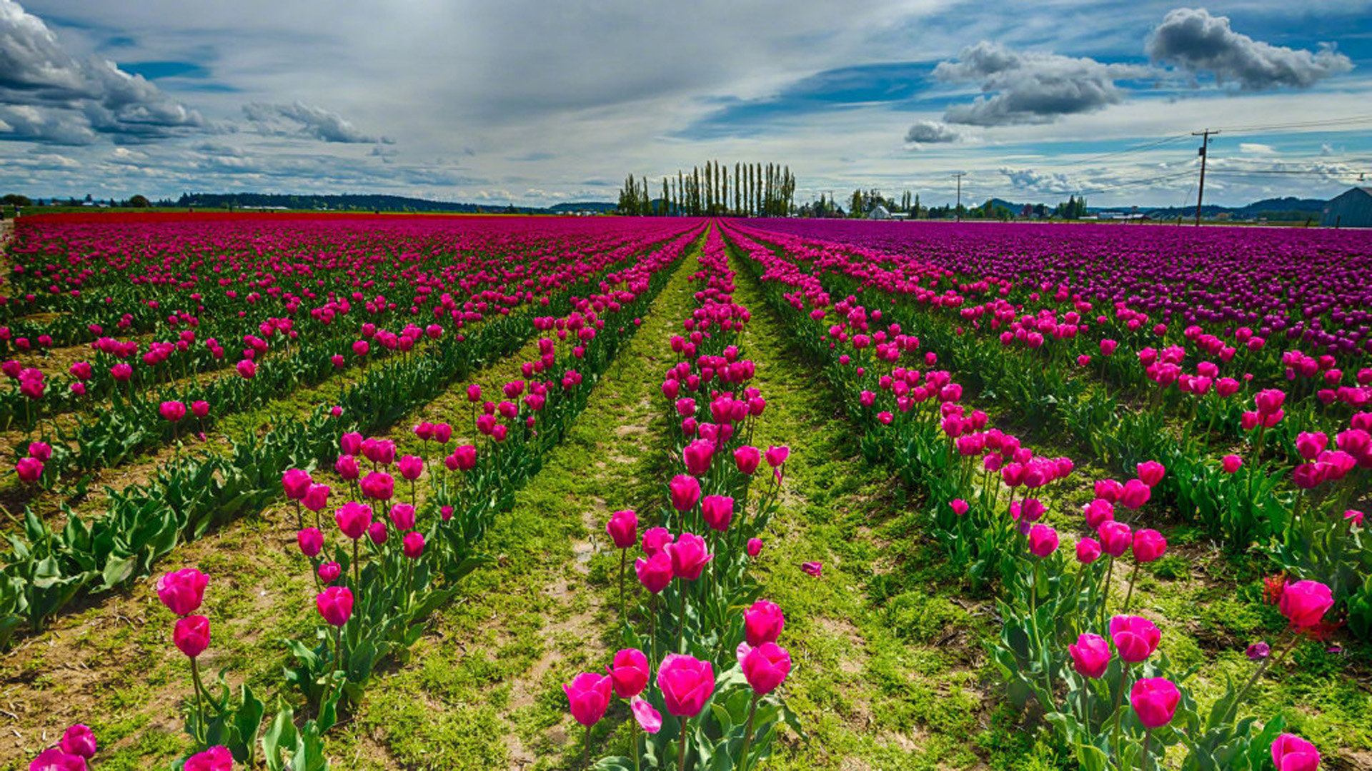 微信的快捷支付叫什么公司_微信支付快捷支付是什么意思 - 微信相关 - 55dz账号网