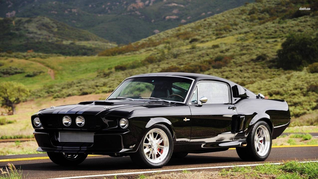 facebook国际版安卓下载最新版_facebook国际版手机版下载 - facebook相关 - 55dz账号网