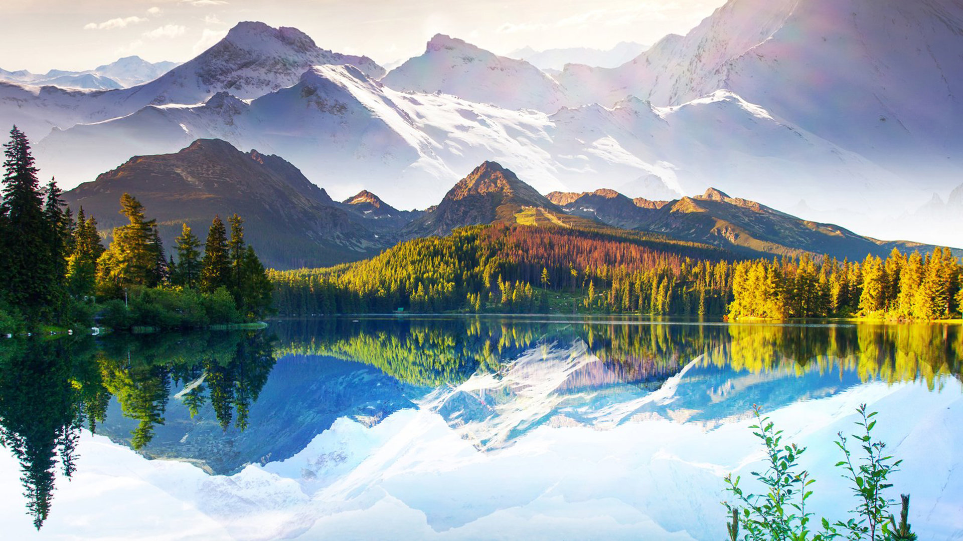 日本苹果id禁止下载免费软件一般多久能恢复_苹果日本id能下啥软件 - 日本苹果ID - 55dz账号网