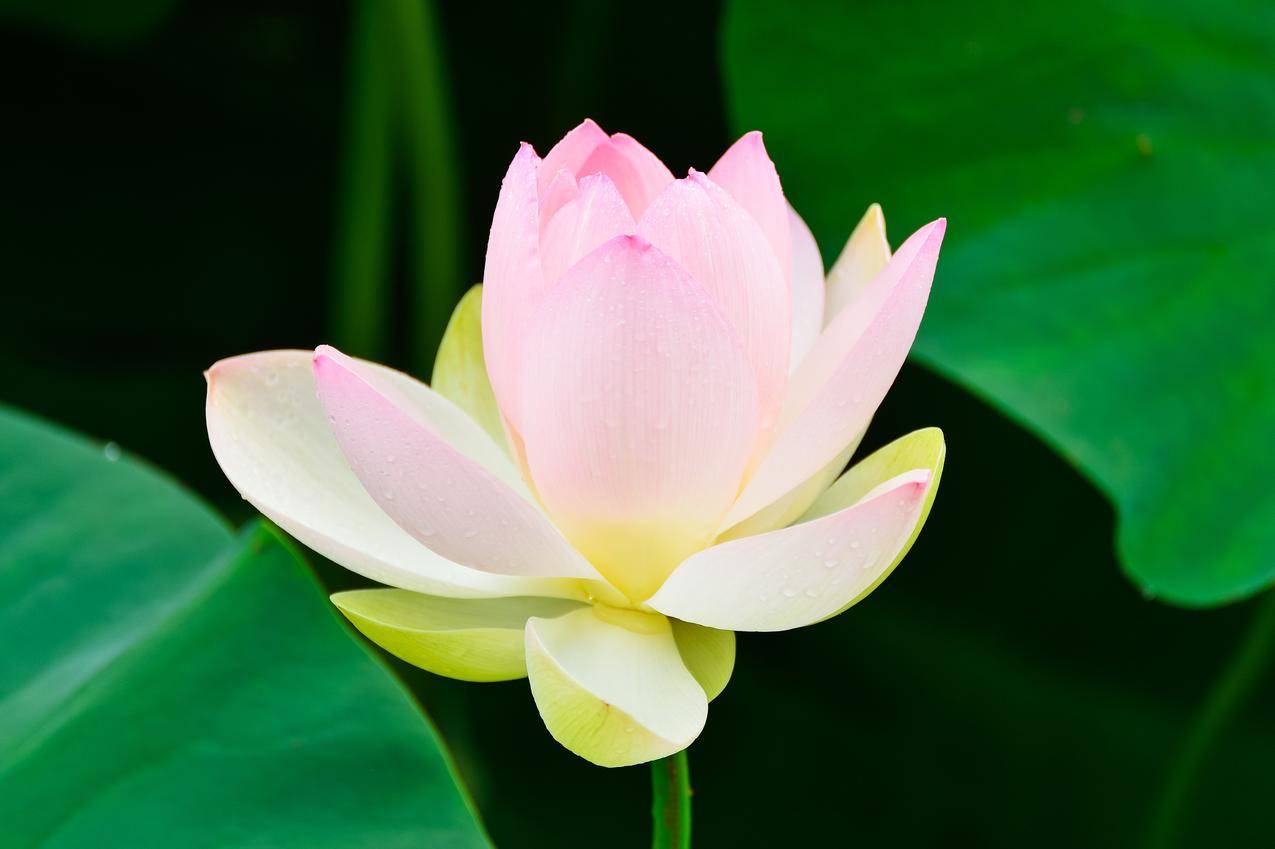 苹果笔记本此越南apple id尚未用于app store怎么办 - 各区苹果ID - 55dz账号网