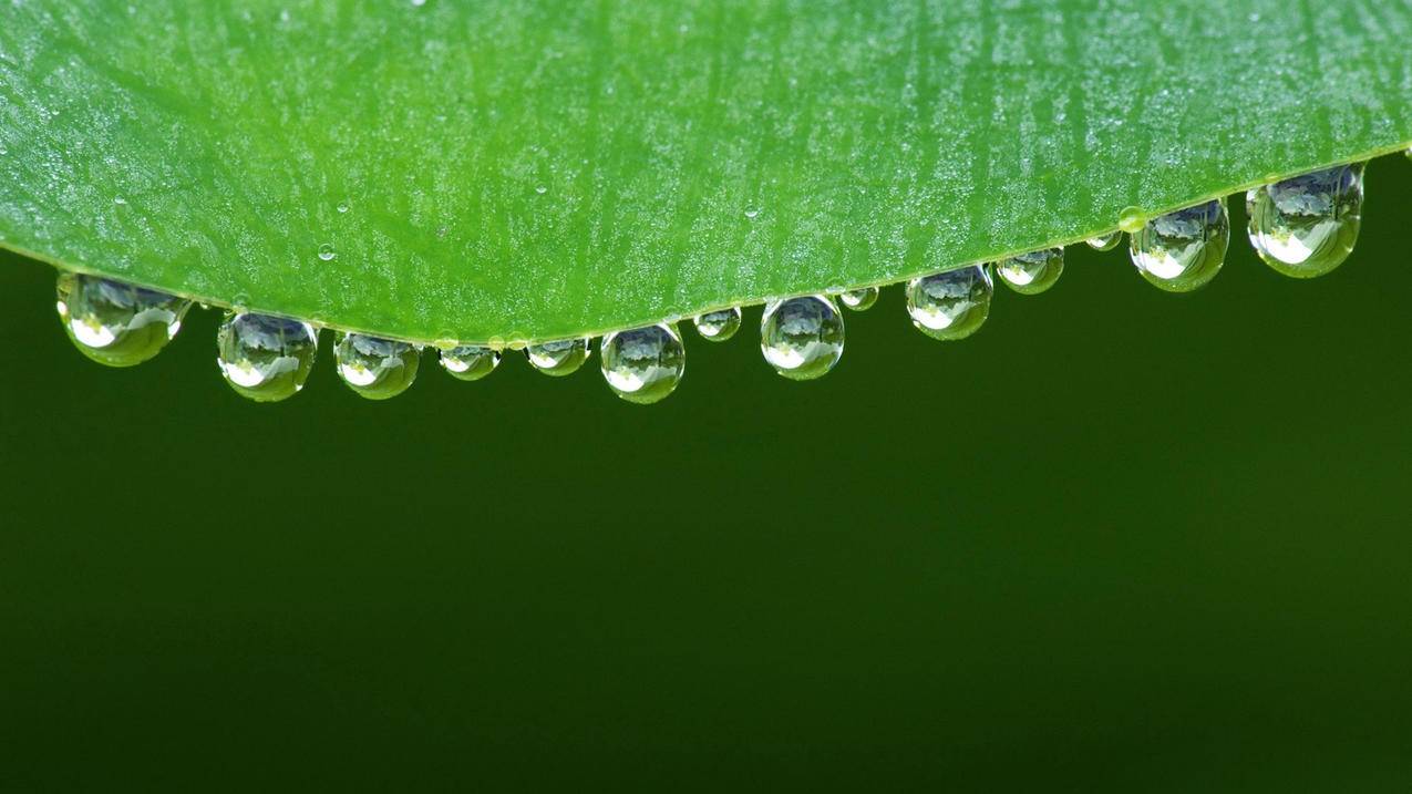 googlel7级别阿里_google职级对标阿里 - google相关 - 55dz账号网