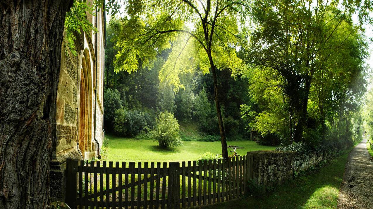 如何使用google  ( 谷歌浏览器谷歌搜索引擎使用方法 ) - 55dz账号网