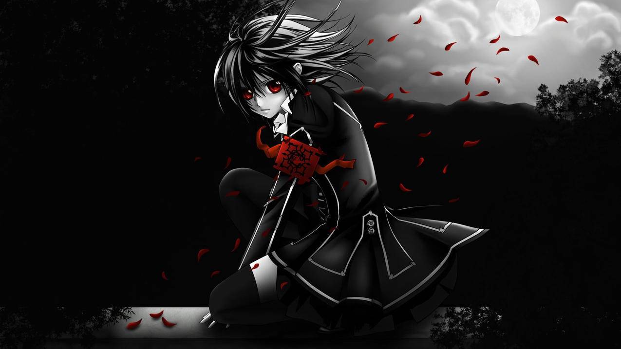 企业微信在哪里完善个人信息_微信在哪儿完善个人信息 - 微信相关 - 55dz账号网