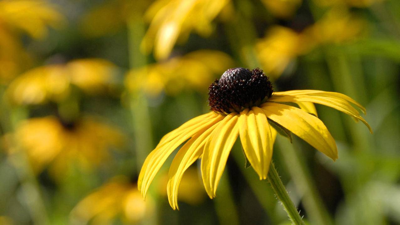 华为手机和华为手环配对不成功怎么办?  ( 华为手机您未授权设备读取权限怎么办? ) - 55dz账号网