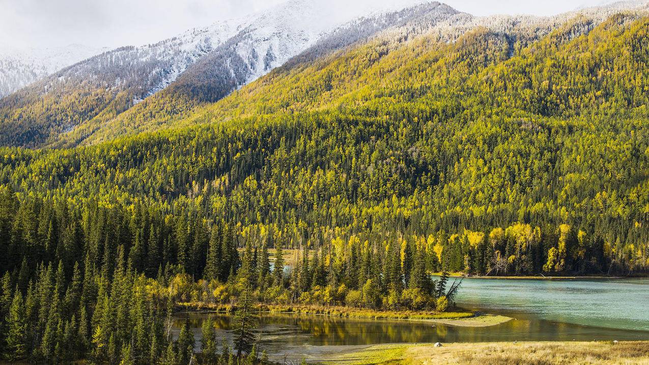 Apple ID老是验证失败怎么办? ， 苹果id验证失败是怎么回事  - 55dz账号网