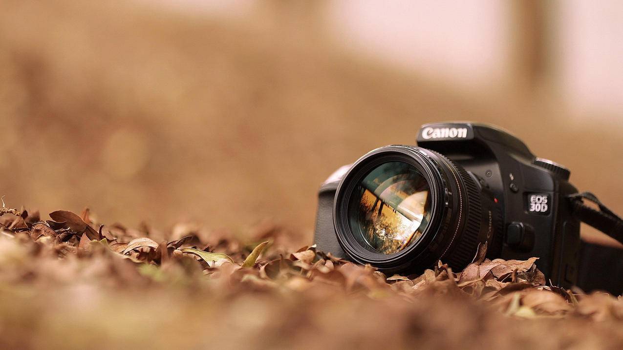 微信小程序收费吗_微信小程序收费吗是真的吗 - 微信相关 - 55dz账号网