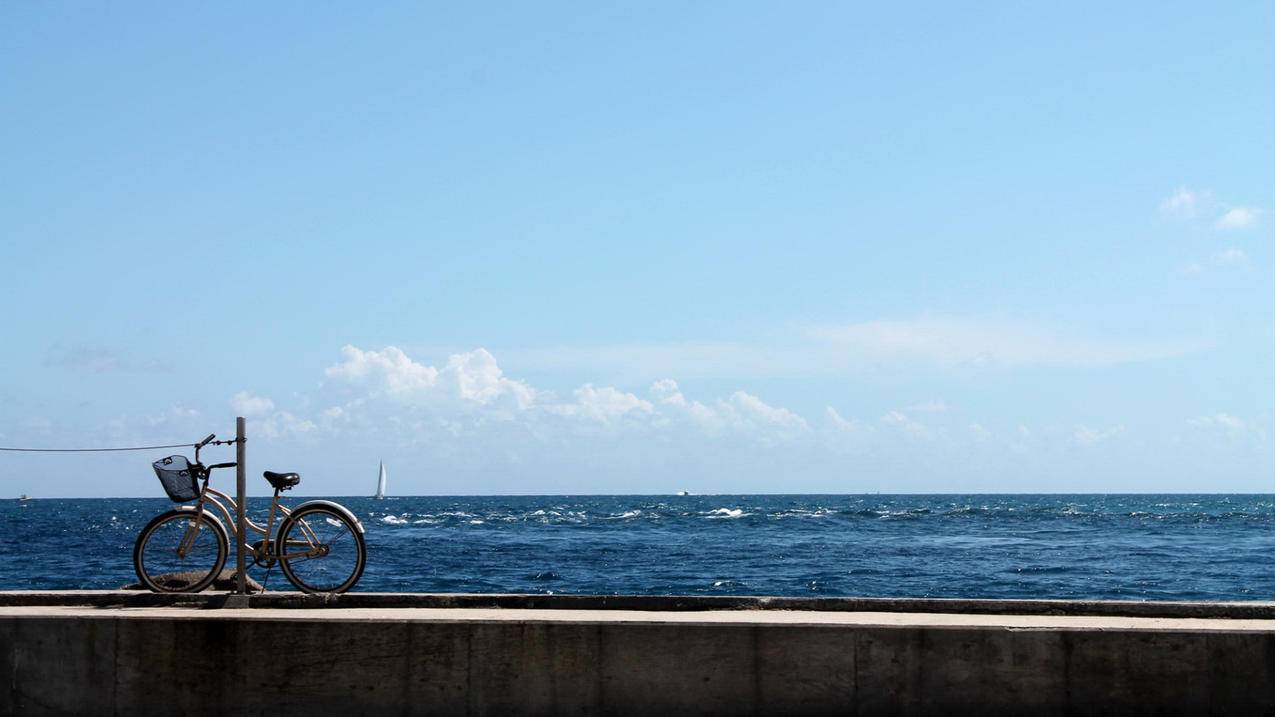 fifaonline4球员等级转移_fifa online4球员升级 - Line相关 - 55dz账号网