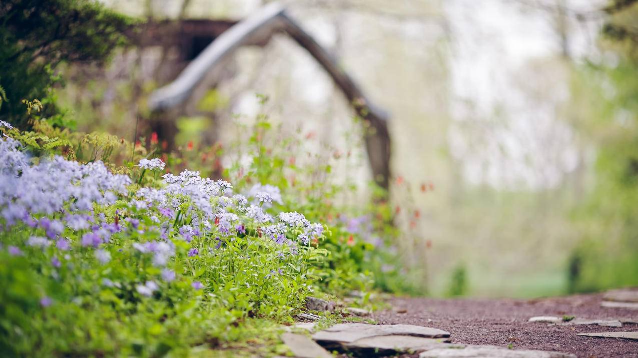 为什么频繁验证日本appleid_在日本可以收到国内验证码吗 - 日本苹果ID - 55dz账号网