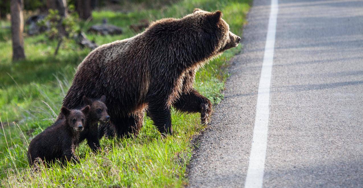 DNF卡盟 - 全网代刷24小时自助快手,快手刷赞24小时自助下单平台网站,刷快手主页刷赞的网站