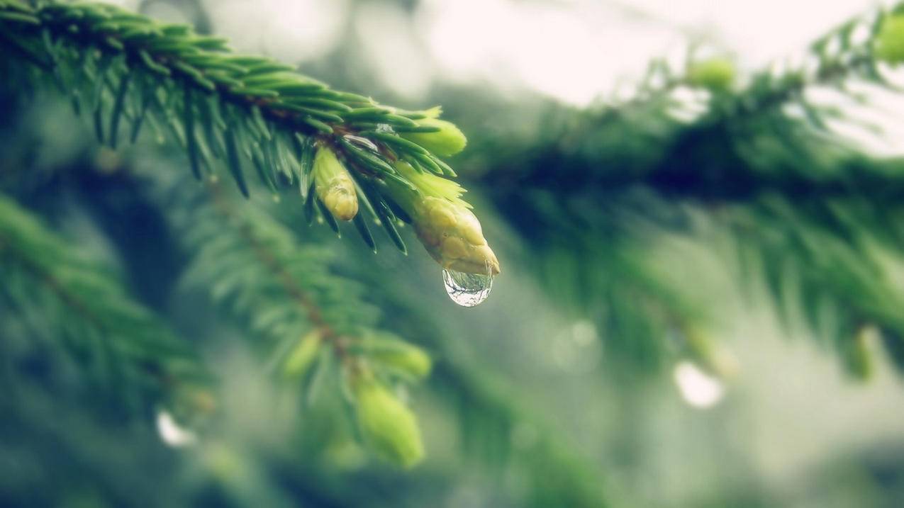 空间访客qq刷_qq空间人气刷赞免费软件手机版_抖音点赞网站便宜 - 微博免费粉丝网站