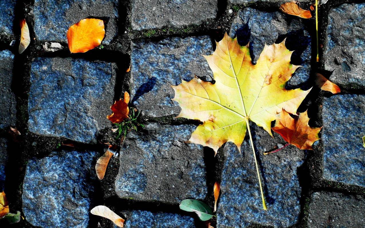 越南苹果id下载东西弹出 - 各区苹果ID - 55dz账号网