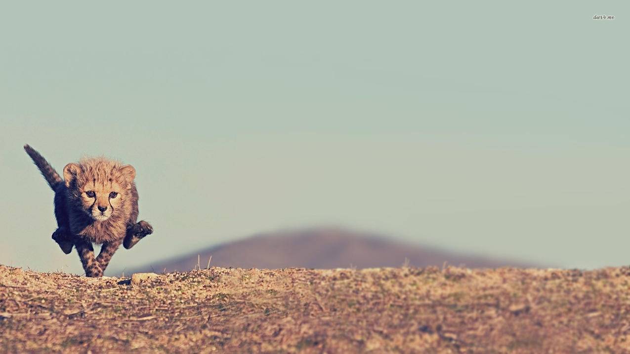 怎样删除菲律宾apple id购买记录（例假可以吃酸奶么） - 各区苹果ID - 55dz账号网