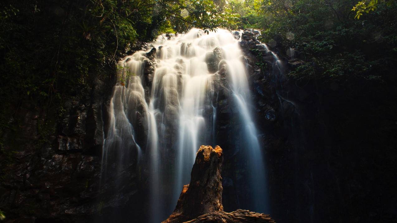 苹果id账号免费用加出生年费_注册苹果ID收费吗 - 各区苹果ID - 55dz账号网