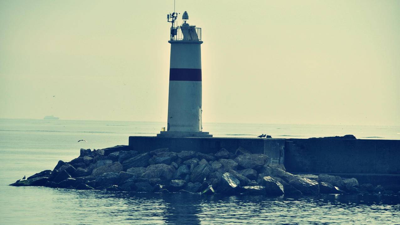 iostiktok刷不出来-地藏卡盟官网-卡盟平台官网排行榜2019,免费刷人气投票软件