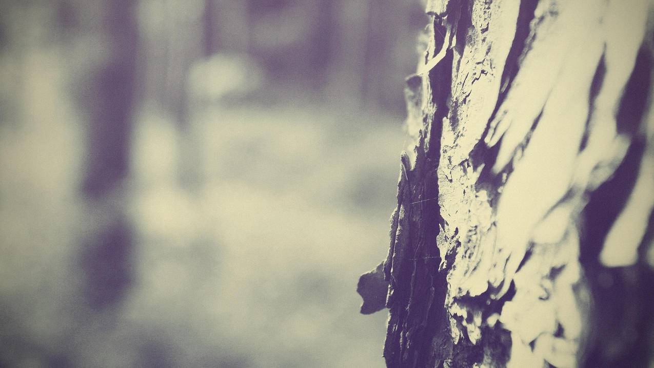 八元1000粉丝_qq空间刷赞 评论_快点抖音刷赞 - 自助发卡