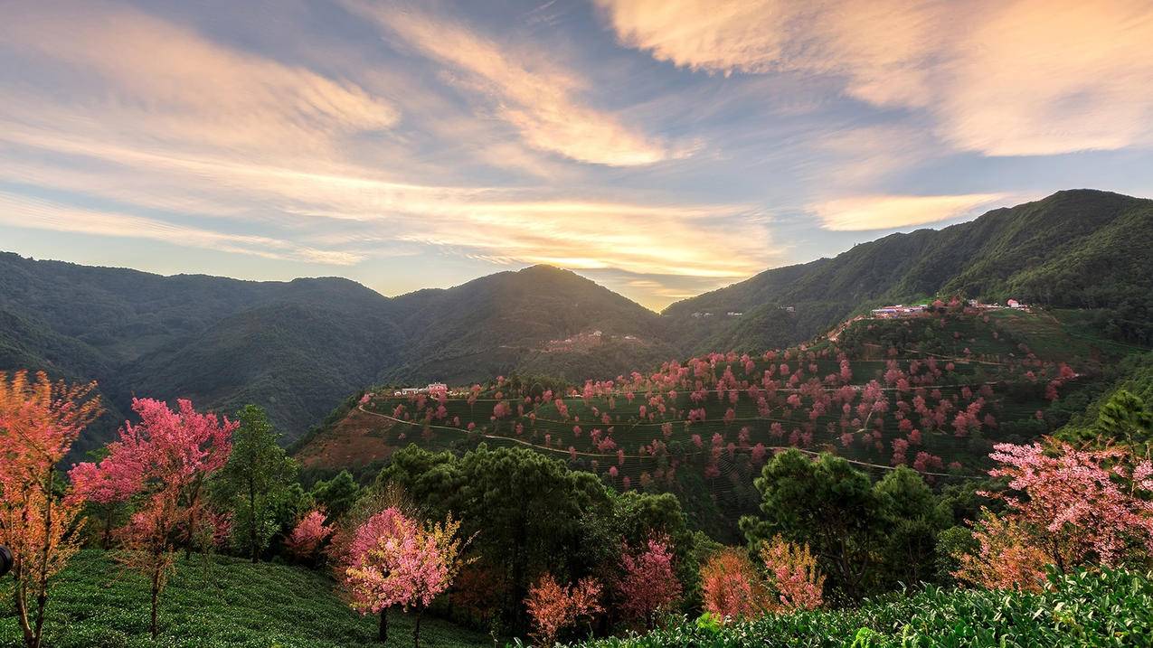 苹果的id不能退出登录退出登录是灰色,点击不管用 ， appleid退出登录是灰色的  - 55dz账号网