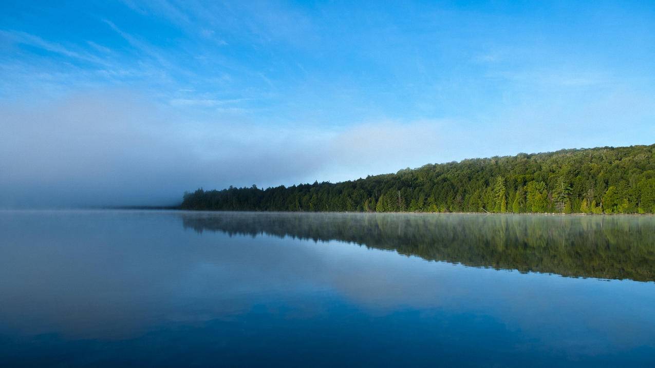 快应用是什么软件怎么删除_快应用里面的软件怎么删除 - skype相关 - 55dz账号网