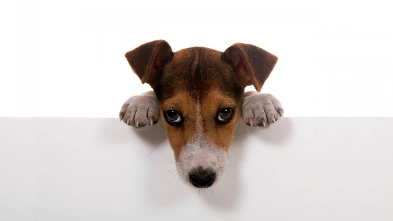 tiktok怎么绑定万里汇_tiktok怎么连接 - tiktok相关 - 55dz账号网