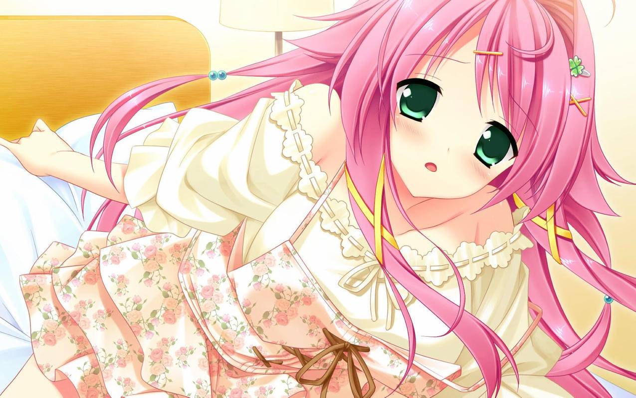 微信直播录播怎么操作_微信直播录播怎么操作的 - 微信相关 - 55dz账号网