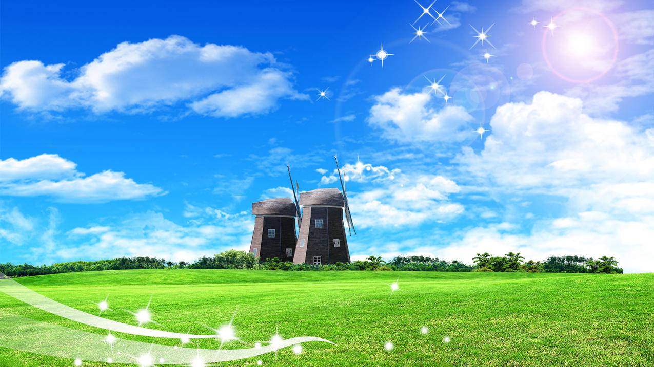 手机skype无法登陆_手机skype无法登录 - skype相关 - 55dz账号网