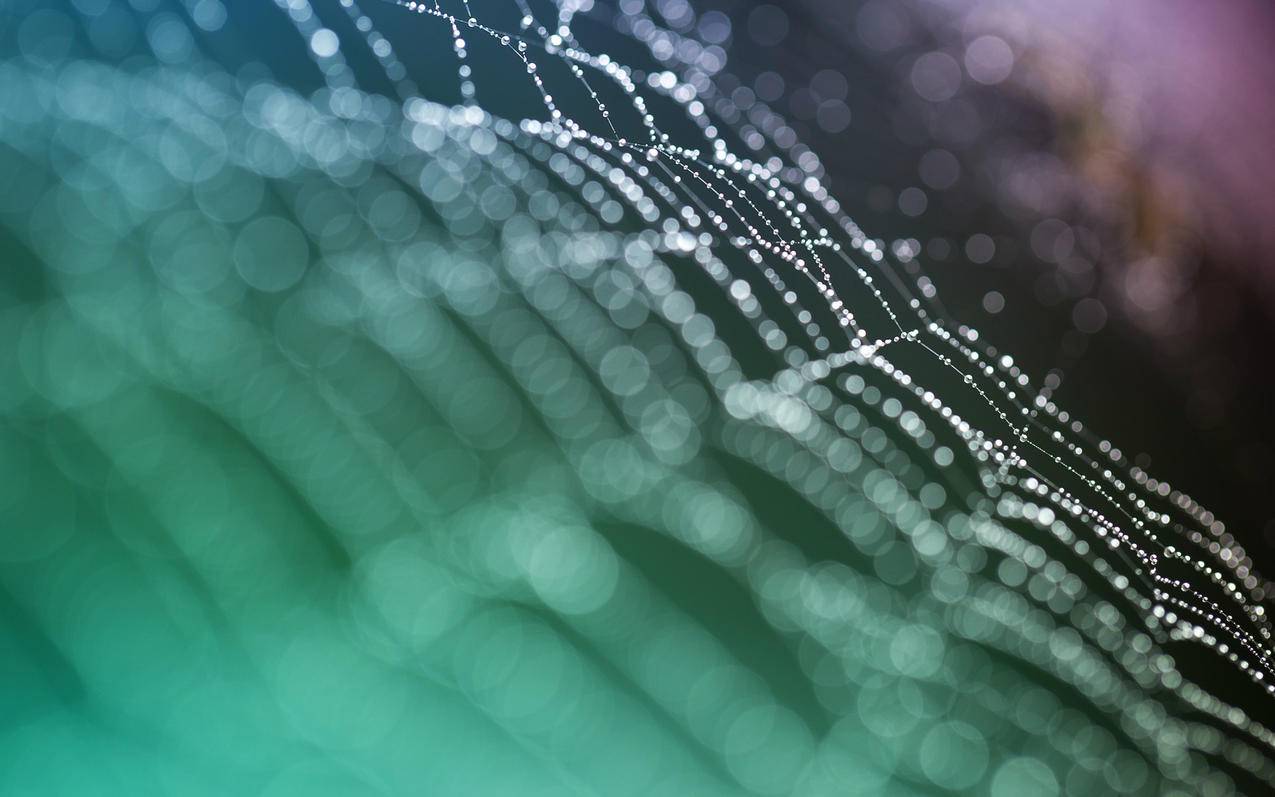 节点解释_节点的概念 - 注册外服方法 - 55dz账号网