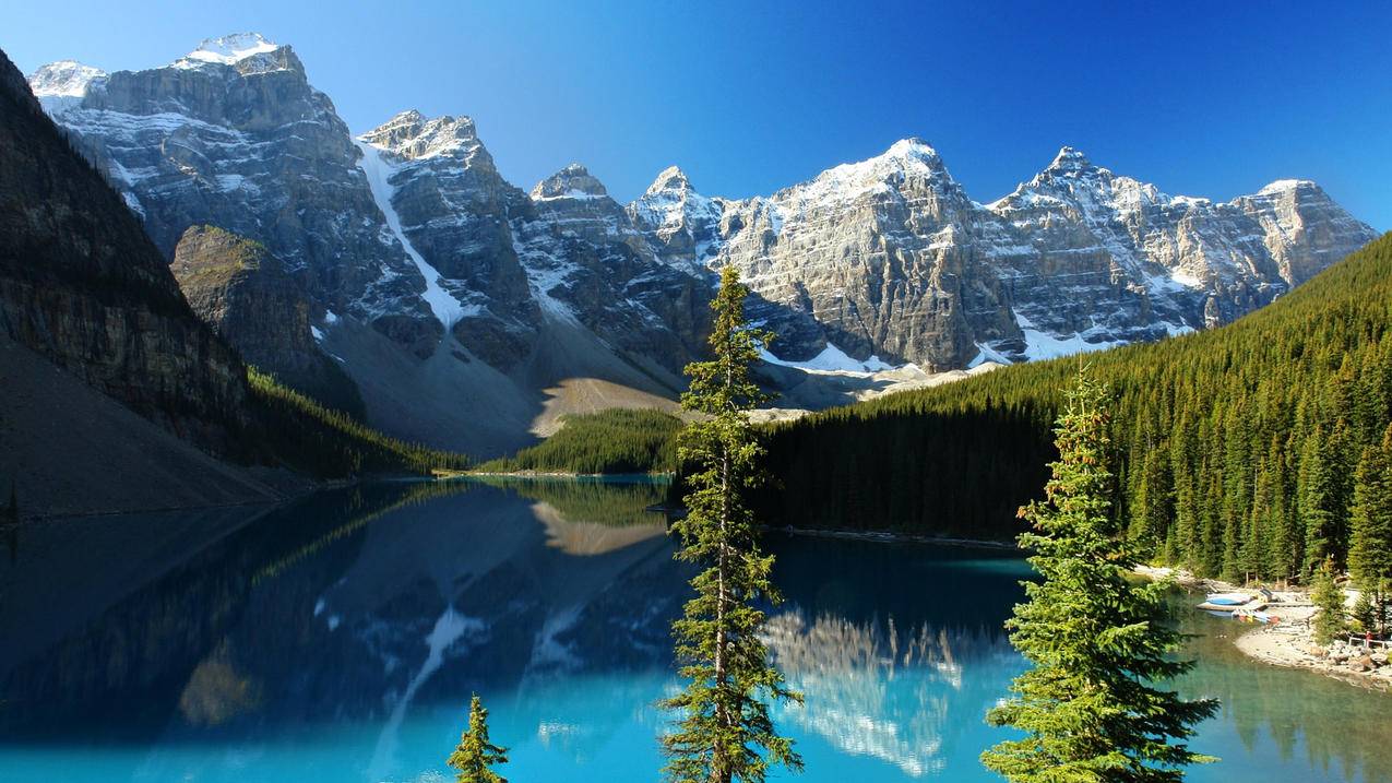 相亲App竟成充值“无底洞”？警方提醒：当心落入“温柔陷阱” - Apple ID相关 - 55dz账号网