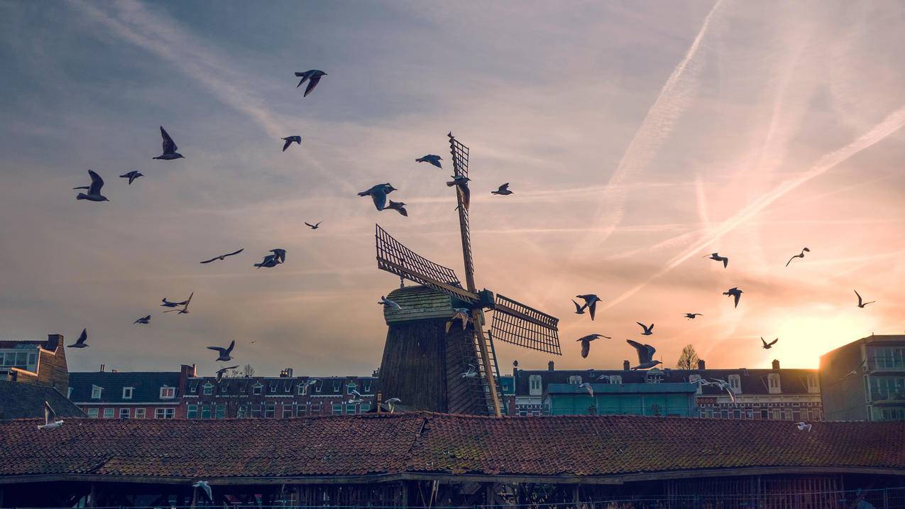 拼多多砍价最低能砍多少 - ks业务 - 蘑菇业务网