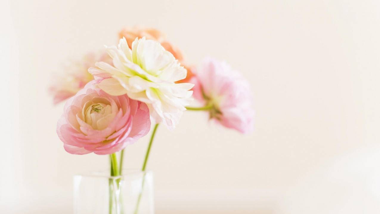 西安电讯盈科在哪里 - ks自助下单 - ks业务下单