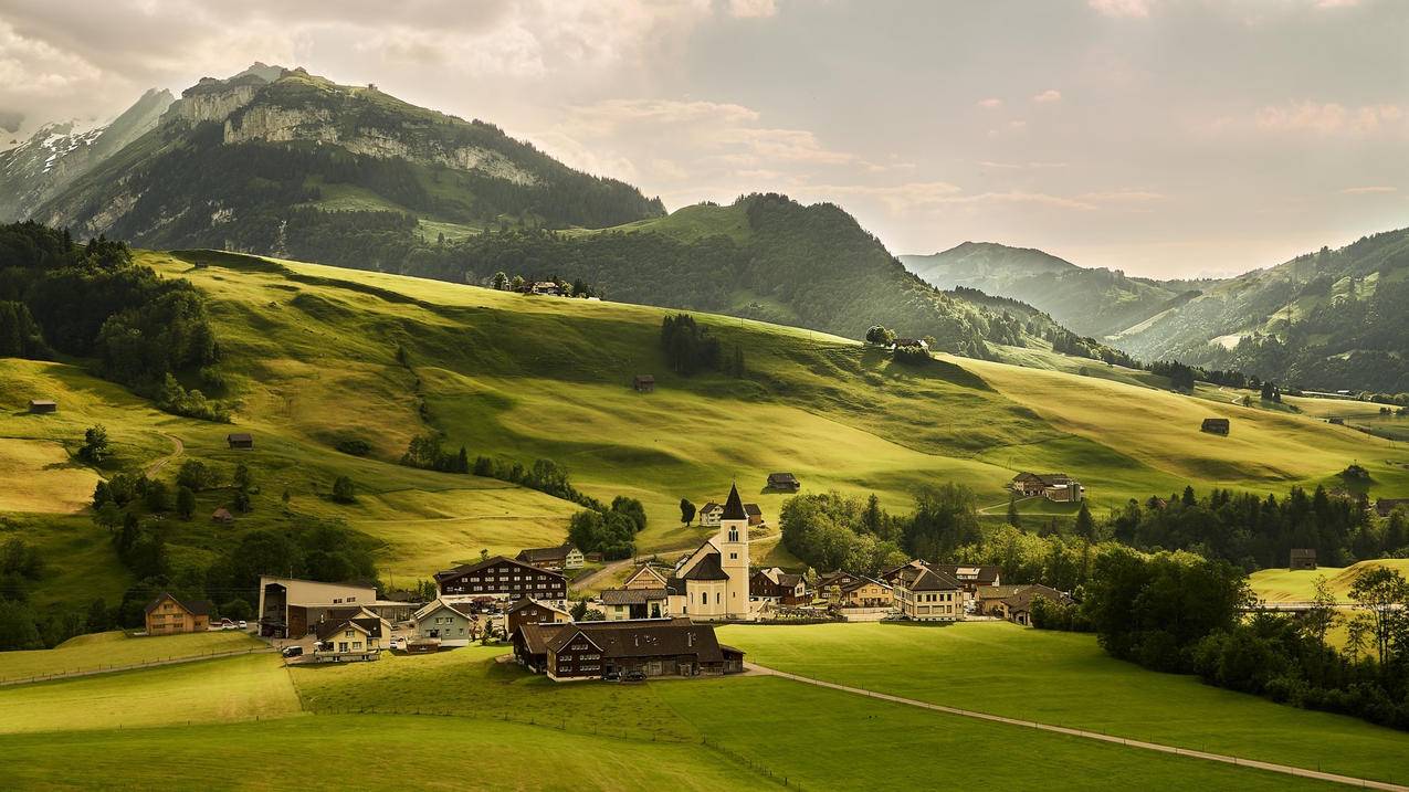 拼多多砍价怎么能快速成-dy业务网