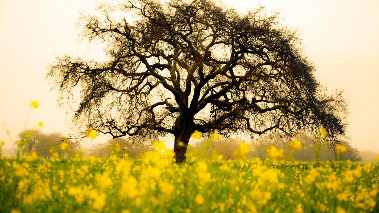 韩国苹果id更新软件密码错误_韩国苹果id更新软件密码错误 - 韩国苹果id - 55dz账号网