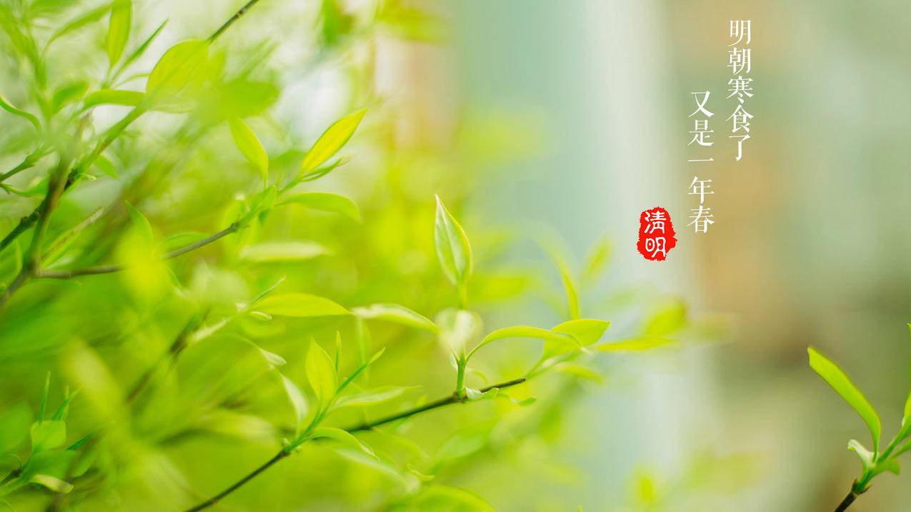 苹果退款会退到微信里吗 ， appleid余额转到微信方法  - 55dz账号网