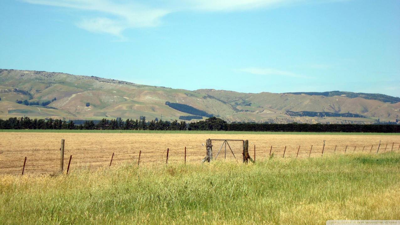 华为下载不了图片怎么办_华为加载不了图片 - gmail相关 - 55dz账号网