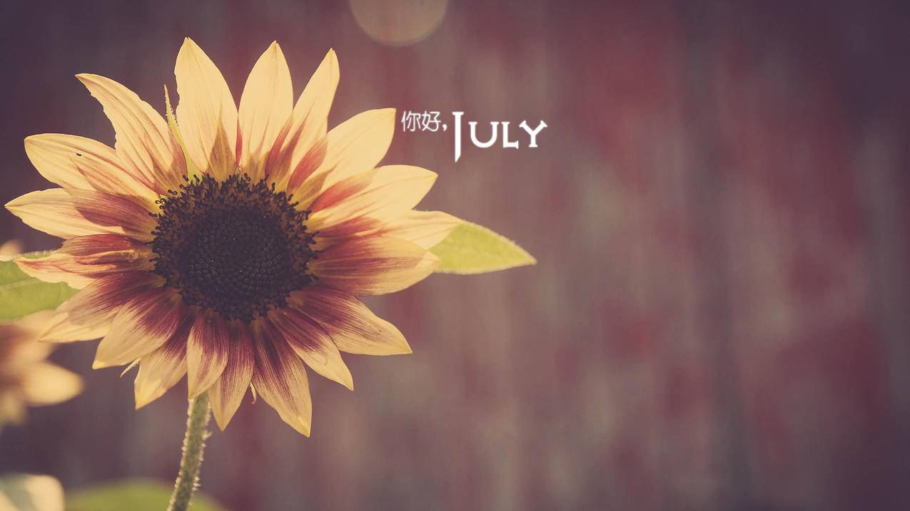 访问别人的facebook会有记录吗_facebook会有陌生人访问记录吗 - facebook相关 - 55dz账号网