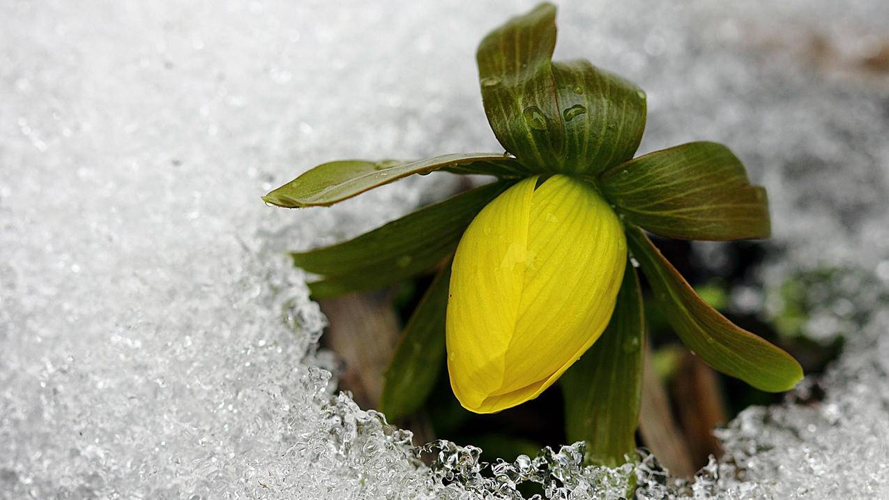 用丢失的苹果手机id登录新买的手机有什么问题么知乎 ， 知乎是什么软件安全吗知乎是什么软件  - 55dz账号网