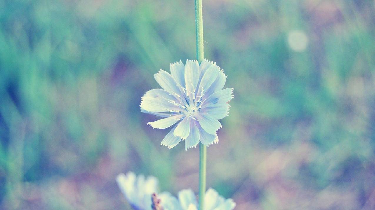 越南apple id 密码与安全性出来验证码 - 各区苹果ID - 55dz账号网