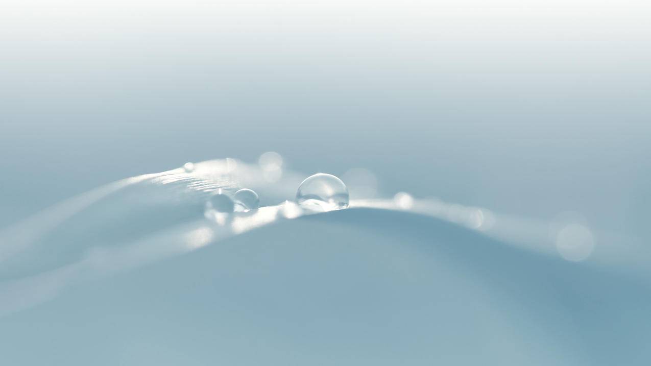 苹果id密码字母可以全小写_苹果id密码字母可以全小写的吗 - 各区苹果ID - 55dz账号网