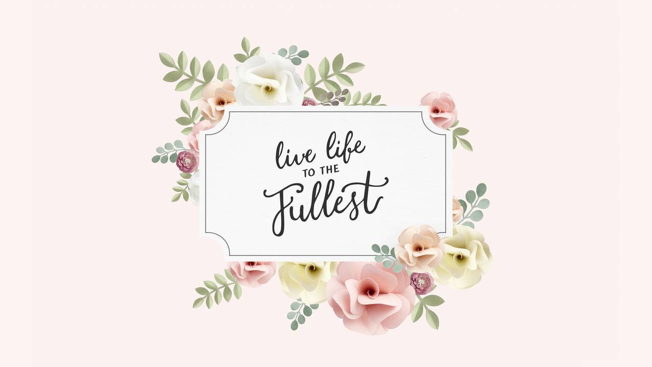 celine鲶鱼包年份怎么看_celine鲶鱼包怎么鉴别 - Line相关 - 55dz账号网