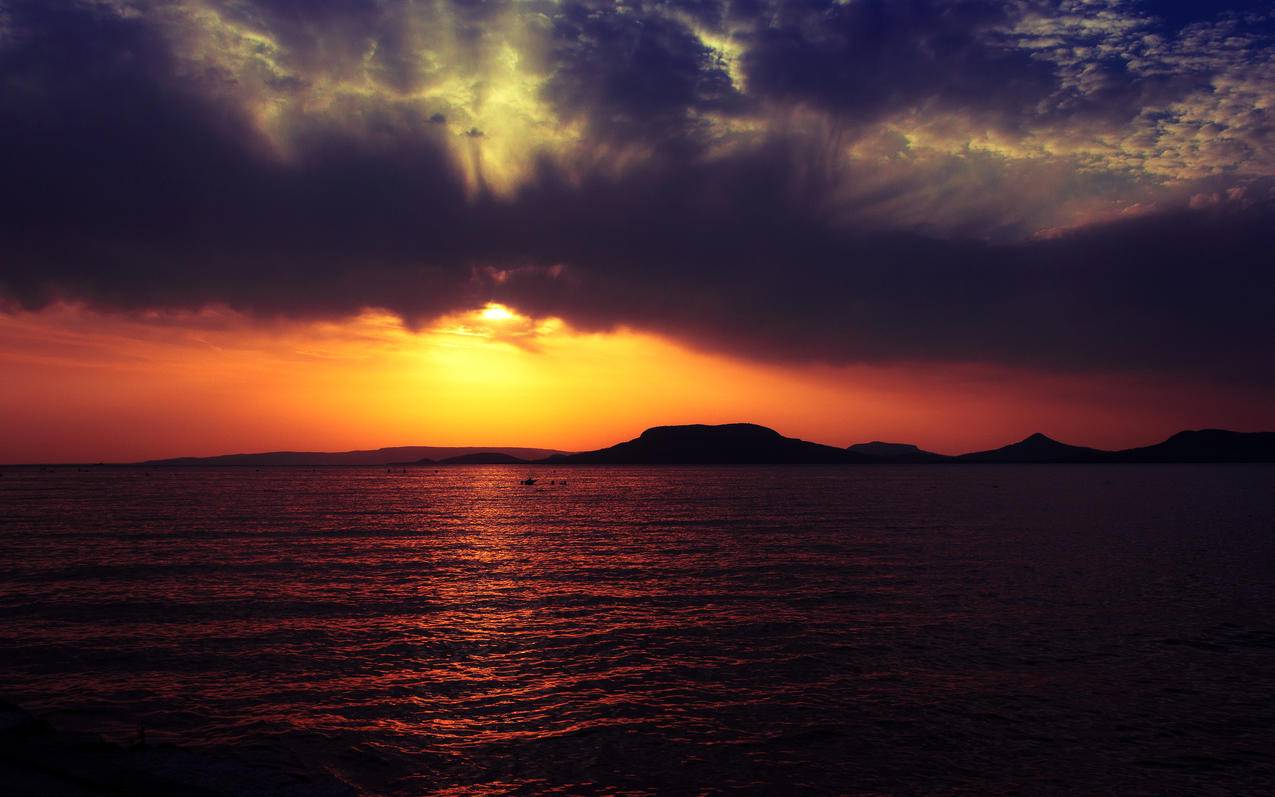 登录appleid无法验证身份_appleid无法验证身份 又忘记密码 - Apple ID相关 - 55dz账号网