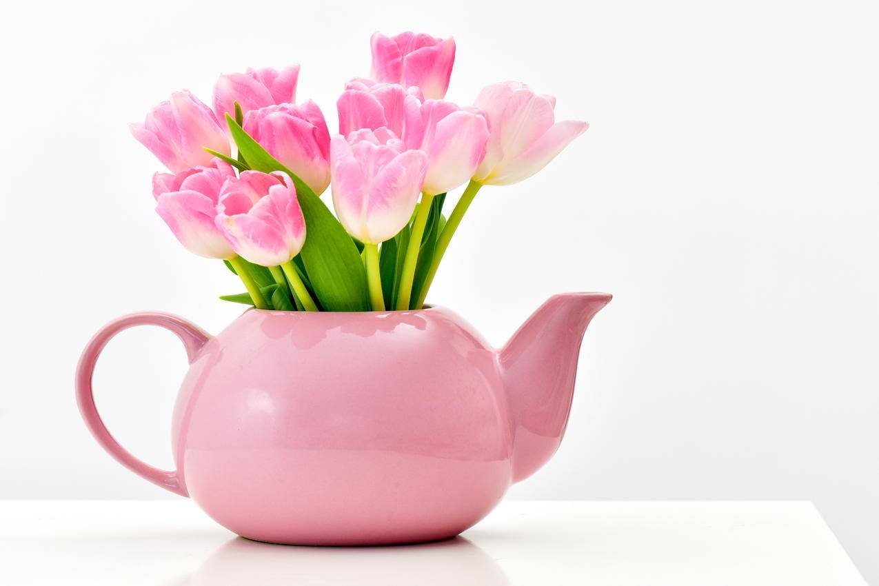 苹果换苹果，旧手机上的资料如何快速迁移到新手机上呢？ - Apple ID相关 - 55dz账号网