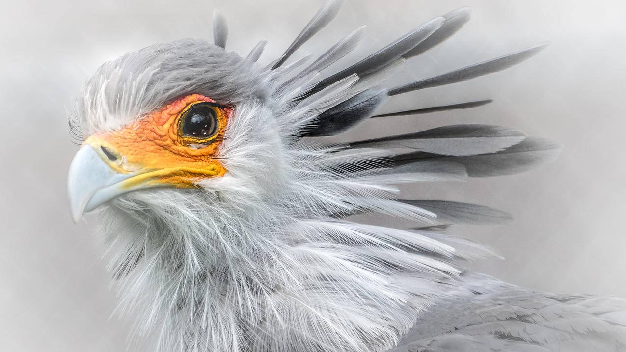 越南苹果id怎么无法验证 - 各区苹果ID - 55dz账号网