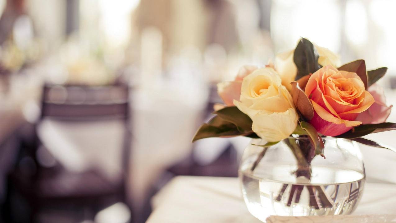 下载appstore_下载AppStore - 注册外服方法 - 55dz账号网