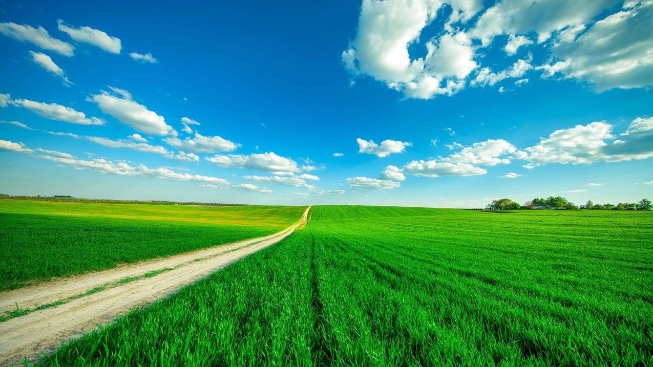 97刷课 - qq空间评论购买网站,全网最便宜代刷网站秒到,抖音作品刷评论赞便宜