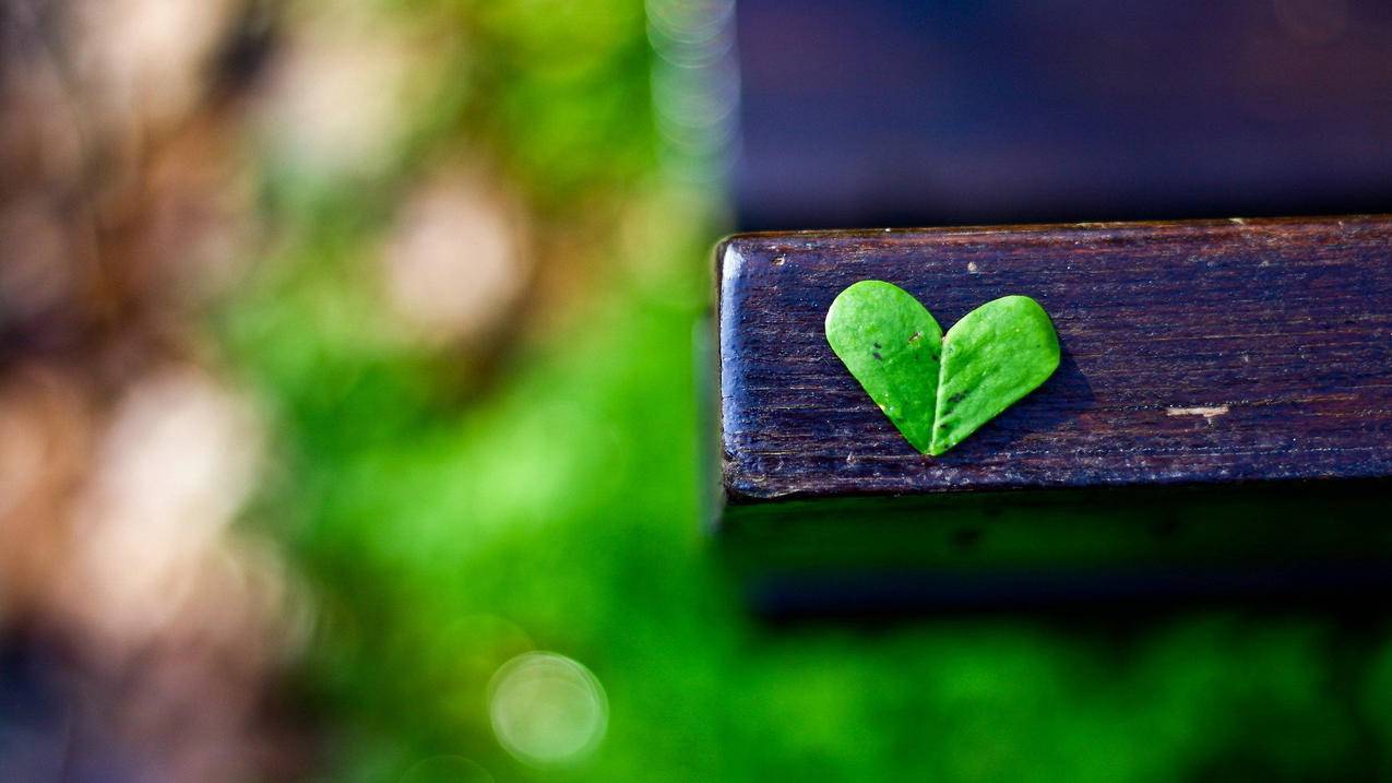 香港appleid更换有什么后果_苹果id在香港更改不回去 - 香港苹果ID - 55dz账号网